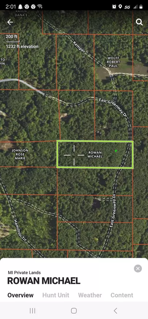 E Greenway Drive, Frederic, MI 49733 photo 13