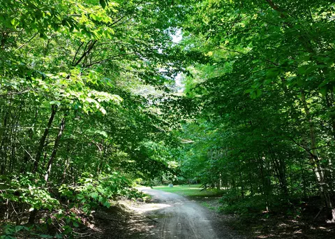 E Greenway Drive, Frederic, MI 49733