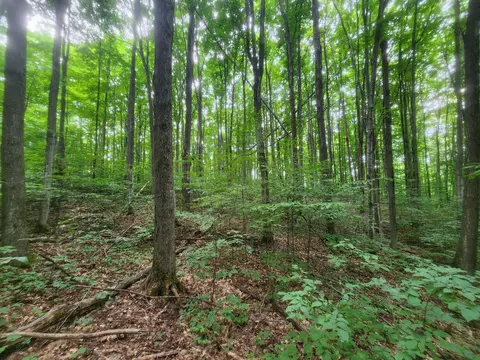 E Greenway Drive, Frederic, MI 49733 photo 11