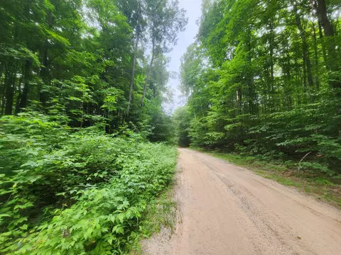 E Greenway Drive, Frederic, MI 49733 photo 2