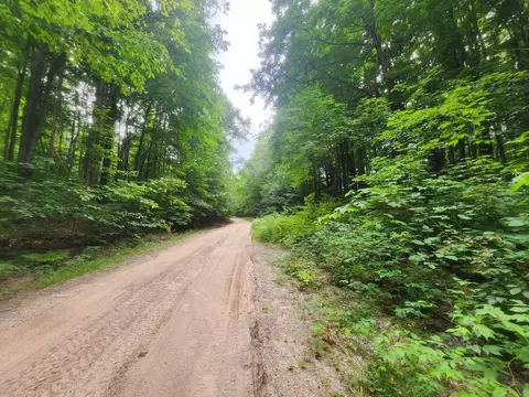 E Greenway Drive, Frederic, MI 49733 photo 3