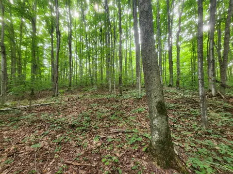 E Greenway Drive, Frederic, MI 49733 photo 9
