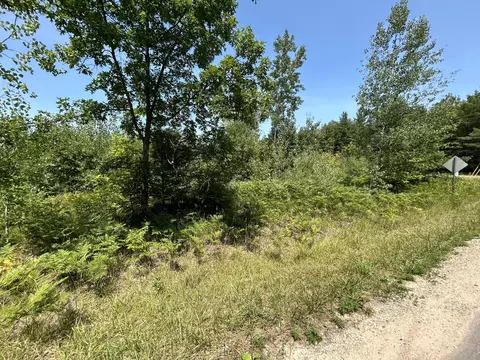 Hayes Tower Road, Gaylord, MI 49735