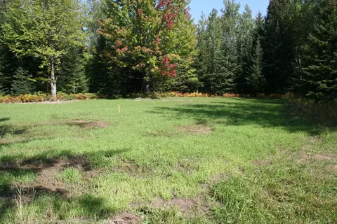 Jacks Landing Road, Hillman, MI 49746