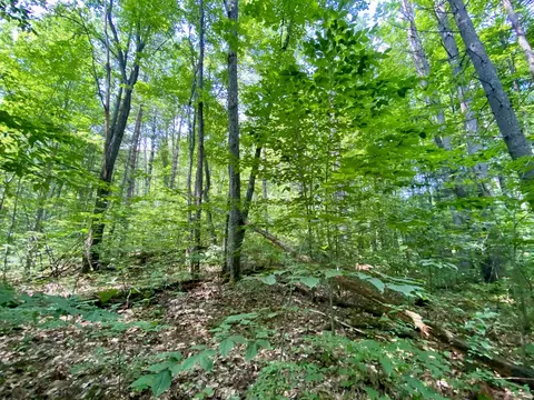 Mackinaw Trail, Gaylord, MI 49735