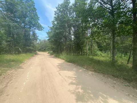 Stitt Lane, Mio, MI 48647 photo 3