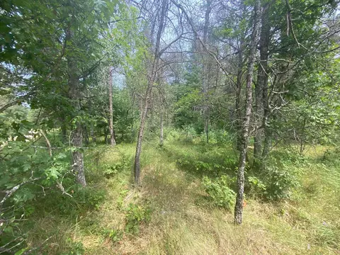 Stitt Lane, Mio, MI 48647 photo 4