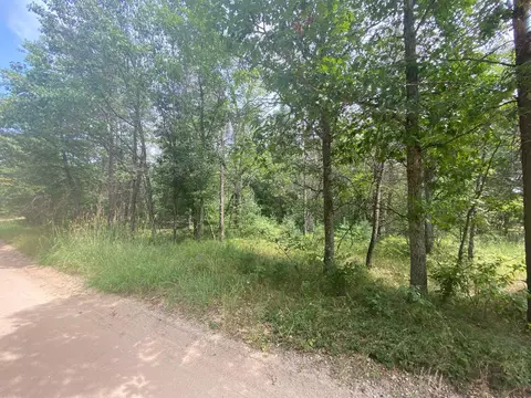 Stitt Lane, Mio, MI 48647 photo 5