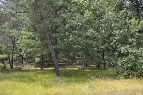 Par C E Higgins Lake Drive, Roscommon, MI 48653
