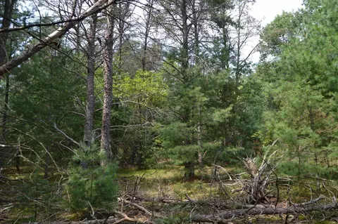 Par C E Higgins Lake Drive, Roscommon, MI 48653 photo 6