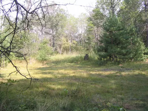 6657 Gaberdiel Road Grayling Mi 49738 Rd, Grayling, MI 49738