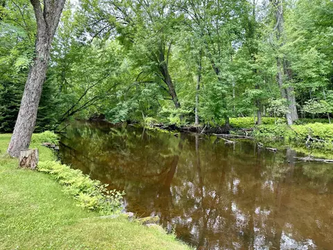 11797 River St, Roscommon, MI 48653 photo 13