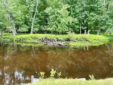 11797 River St, Roscommon, MI 48653 photo 10