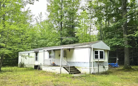 697 S Brown Trl, Indian River, MI 49749