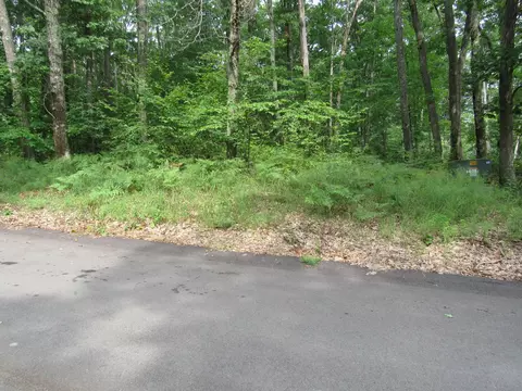lot21 Cindy Ave, Roscommon, MI 48653