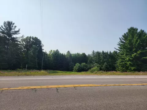 Parcel 9 Old M32 Grade, Hillman, MI 49746