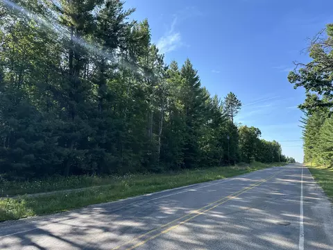lot3 Co Rd 489 1035 Acres Lewiston Mi 49756 #10.35 ACRES, Lewiston, MI 49756