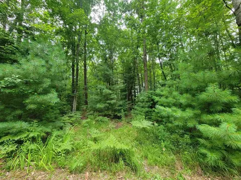2 Pinconning Road, Beaverton, MI 48612