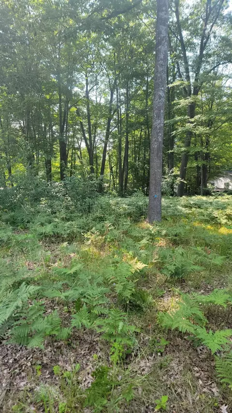 91 Springwood Drive #LOT 91, Prudenville, MI 48651
