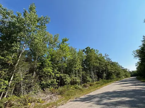 pineview dr LOT S 229 & 230, Presque Isle, MI 49777