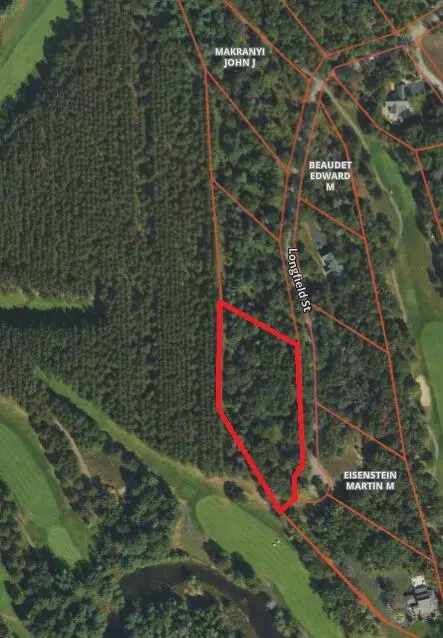 lot13 Longfield St, Lewiston, MI 49756