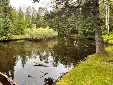 3748 Victor Drive Indian River Mi 49749 Dr, Indian River, MI 49749