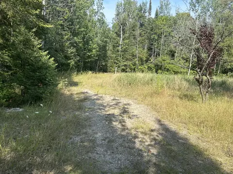 16027 Pine Tree Trail Ocqueoc Mi 49759 Trl, Ocqueoc, MI 49759 photo 4