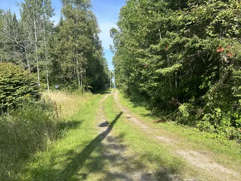 16027 Pine Tree Trail Ocqueoc Mi 49759 Trl, Ocqueoc, MI 49759 photo 8