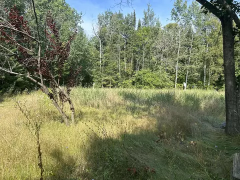 16027 Pine Tree Trail Ocqueoc Mi 49759 Trl, Ocqueoc, MI 49759 photo 5