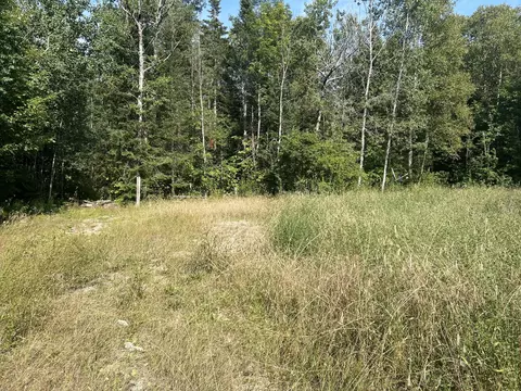 16027 Pine Tree Trail Ocqueoc Mi 49759 Trl, Ocqueoc, MI 49759 photo 11