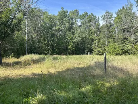 16027 Pine Tree Trail Ocqueoc Mi 49759 Trl, Ocqueoc, MI 49759 photo 6