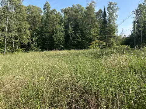 16027 Pine Tree Trail Ocqueoc Mi 49759 Trl, Ocqueoc, MI 49759 photo 10