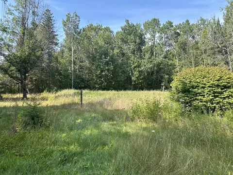 16027 Pine Tree Trail Ocqueoc Mi 49759 Trl, Ocqueoc, MI 49759 photo 7