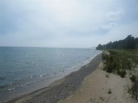 16027 Pine Tree Trail Ocqueoc Mi 49759 Trl, Ocqueoc, MI 49759
