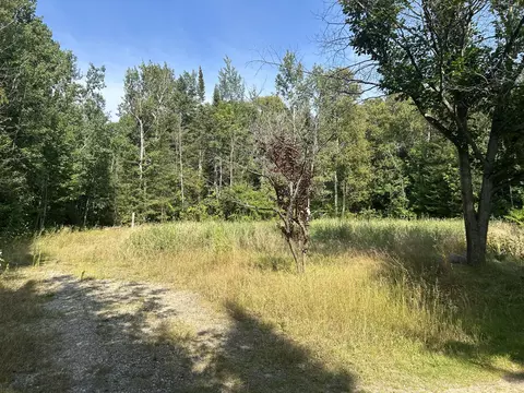 16027 Pine Tree Trail Ocqueoc Mi 49759 Trl, Ocqueoc, MI 49759 photo 13