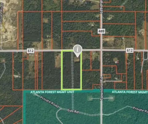 20 Acres County Rd 612 Lewiston Mi 49756, Lewiston, MI 49756