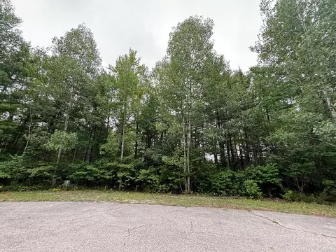 lot216 Pineview Ct, Presque Isle, MI 49777