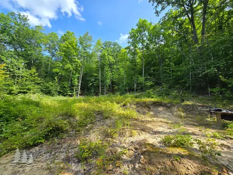 mccormick lake road #PARCEL 2, Atlanta, MI 49709