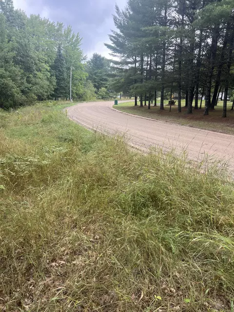 white pine drive #( 33 & ISLAND), Frederic, MI 49733 photo 15