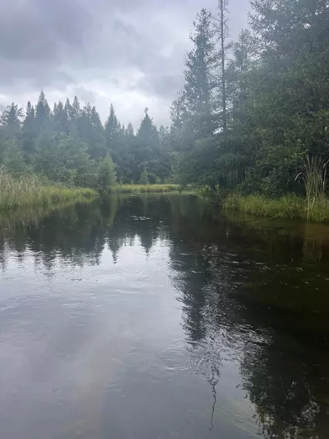 white pine drive #( 33 & ISLAND), Frederic, MI 49733 photo 3