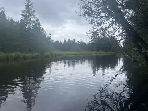 white pine drive #( 33 & ISLAND), Frederic, MI 49733 photo 5