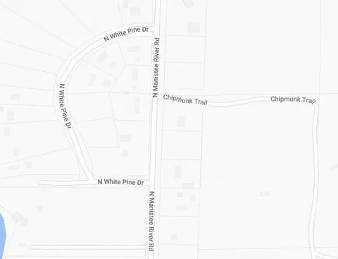white pine drive #( 33 & ISLAND), Frederic, MI 49733 photo 2