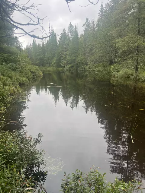 white pine drive #( 33 & ISLAND), Frederic, MI 49733 photo 7