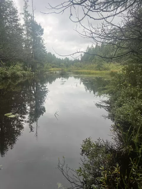 white pine drive #( 33 & ISLAND), Frederic, MI 49733 photo 6