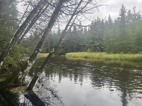 white pine drive #( 33 & ISLAND), Frederic, MI 49733 photo 8
