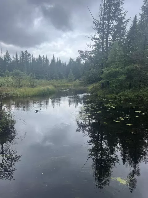 white pine drive #( 33 & ISLAND), Frederic, MI 49733