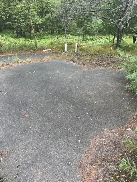 white pine drive #( 33 & ISLAND), Frederic, MI 49733 photo 16