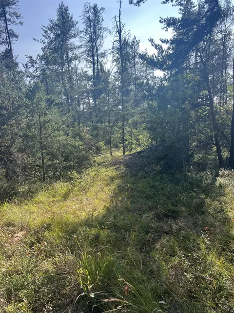Sandy Trail, Grayling, MI 49738