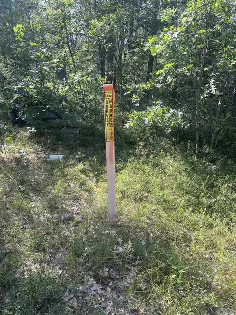 Sandy Trail, Grayling, MI 49738 photo 3