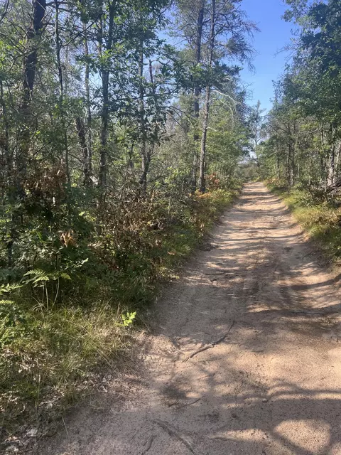 Sandy Trail, Grayling, MI 49738 photo 4